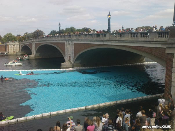 The Great British Duck Race 2009!